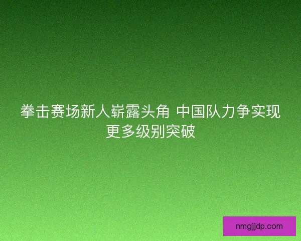 拳击赛场新人崭露头角 中国队力争实现更多级别突破