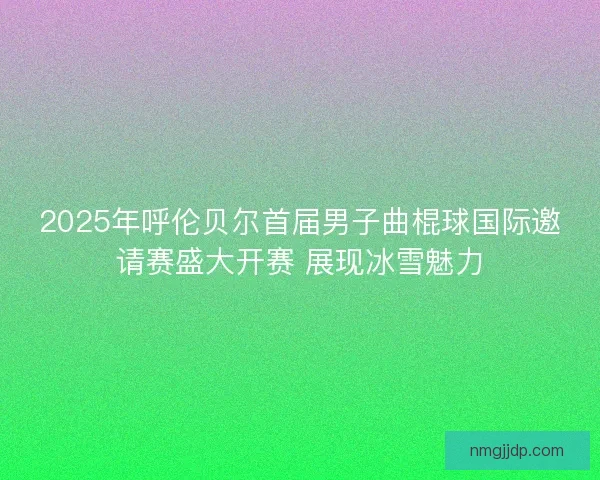2025年呼伦贝尔首届男子曲棍球国际邀请赛盛大开赛 展现冰雪魅力