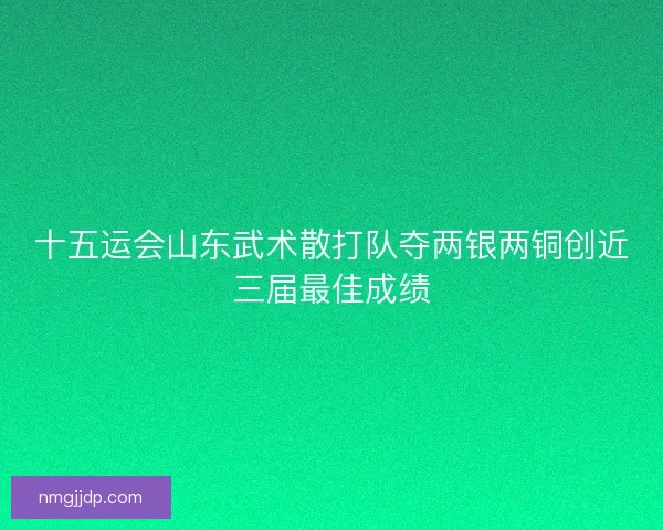 十五运会山东武术散打队夺两银两铜创近三届最佳成绩